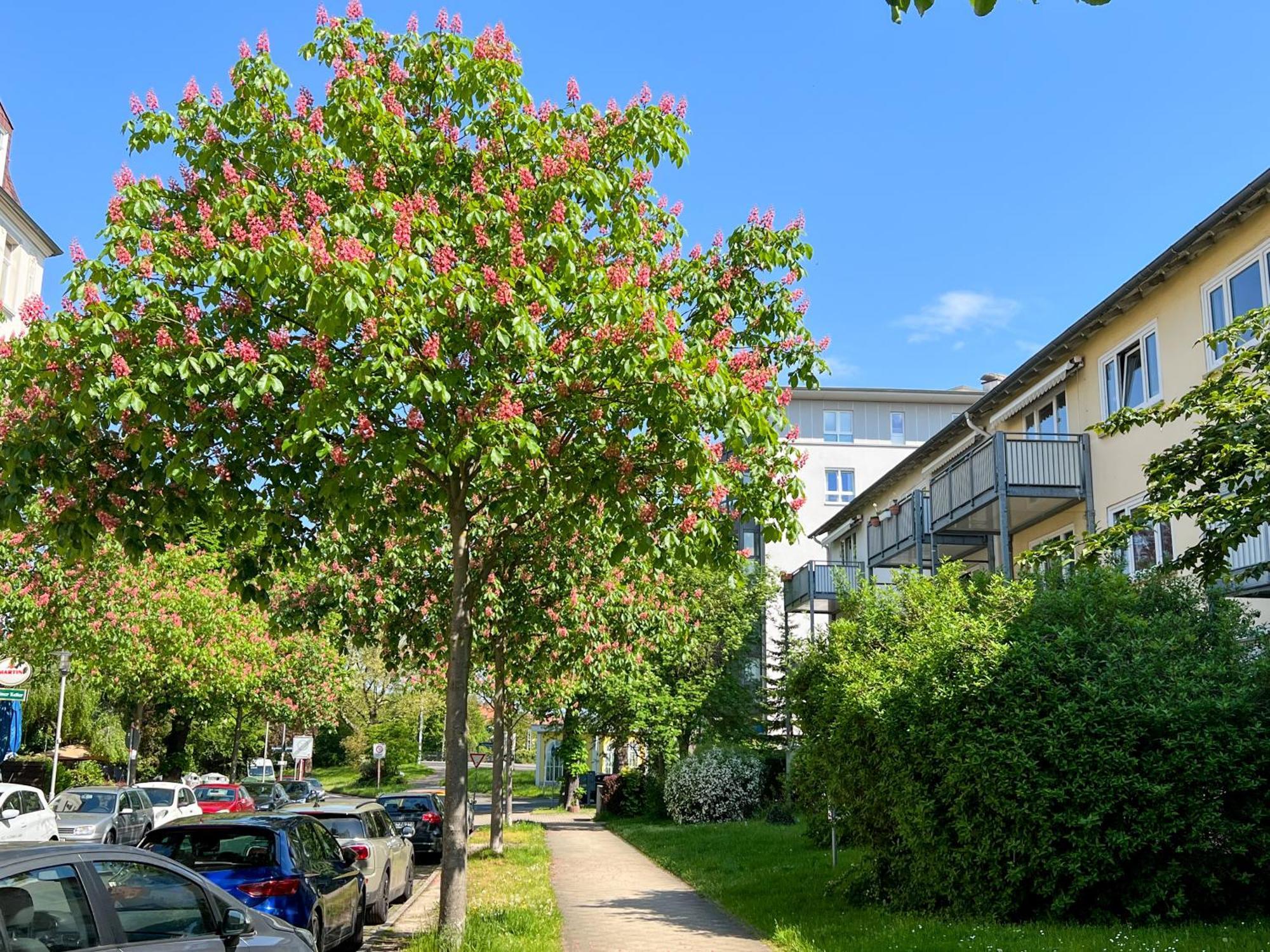 New-York Appartment, 2 Zimmer, Zentral Naehe Bahnhof Wilhelmshoehe Кассель Экстерьер фото